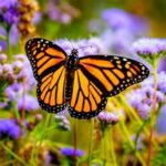 Rondje Waadhoeke met Connexa