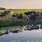 Samen op pad – Een terugblik op ‘De slingers van Marsum’