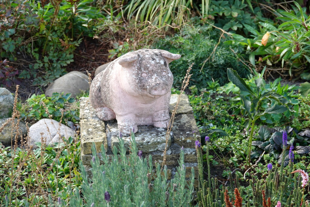 Fotospeurtocht november 2025