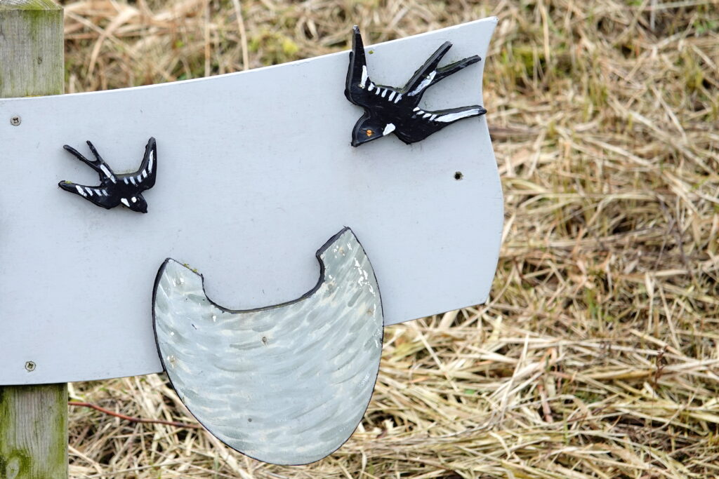 Fotospeurtocht maart 2026