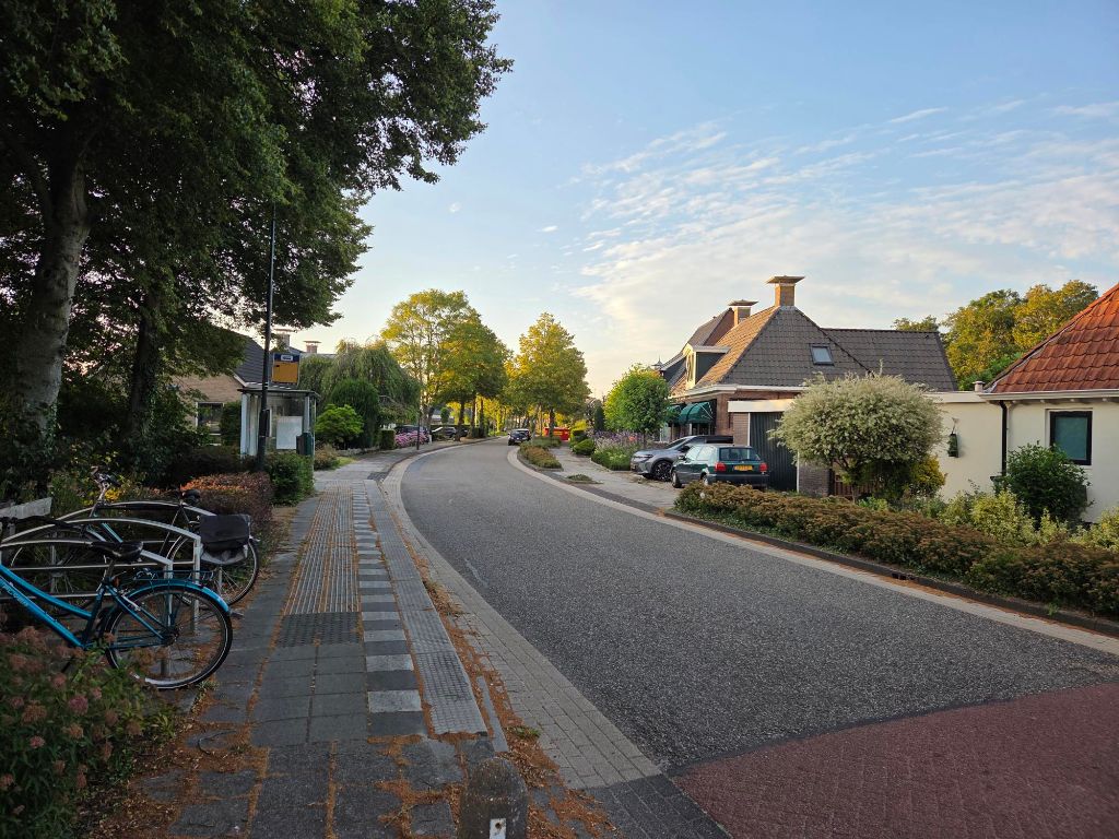 Consternatie op de Bitgumerdyk